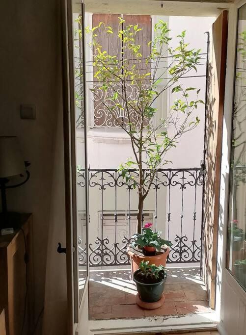 Maison De Village Dans Le Centre Du Vieux Quartier Marseillan  Ngoại thất bức ảnh